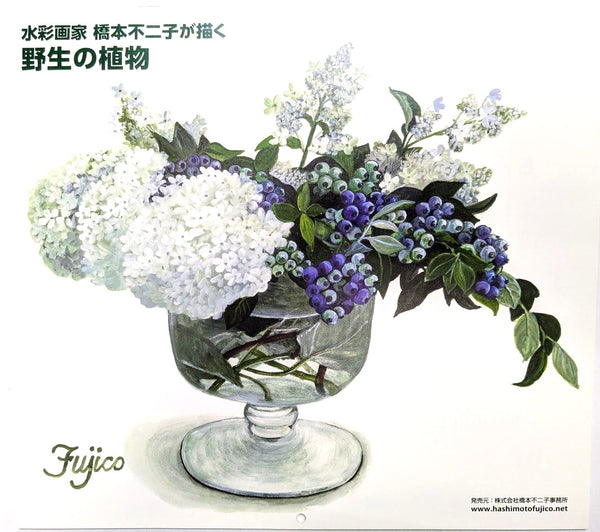 橋本不二子　2027年壁掛けカレンダー　種をつなぐ植物たちの記録