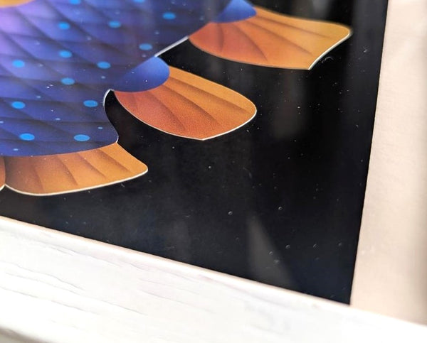 原画・一点物　　７シャドーアート「シーラカンス」