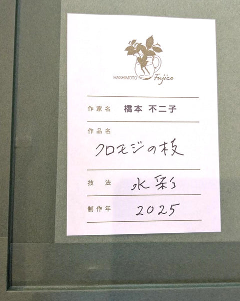 橋本不二子　原画26-1　　クロモジの枝