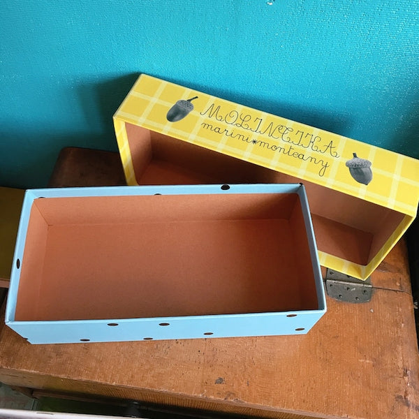 BOX⑧　どんぐり